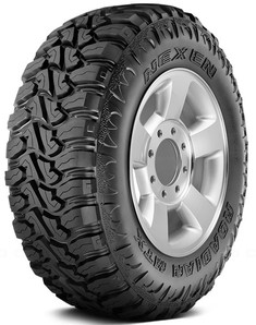 Nexen Roadian MTX RM7
